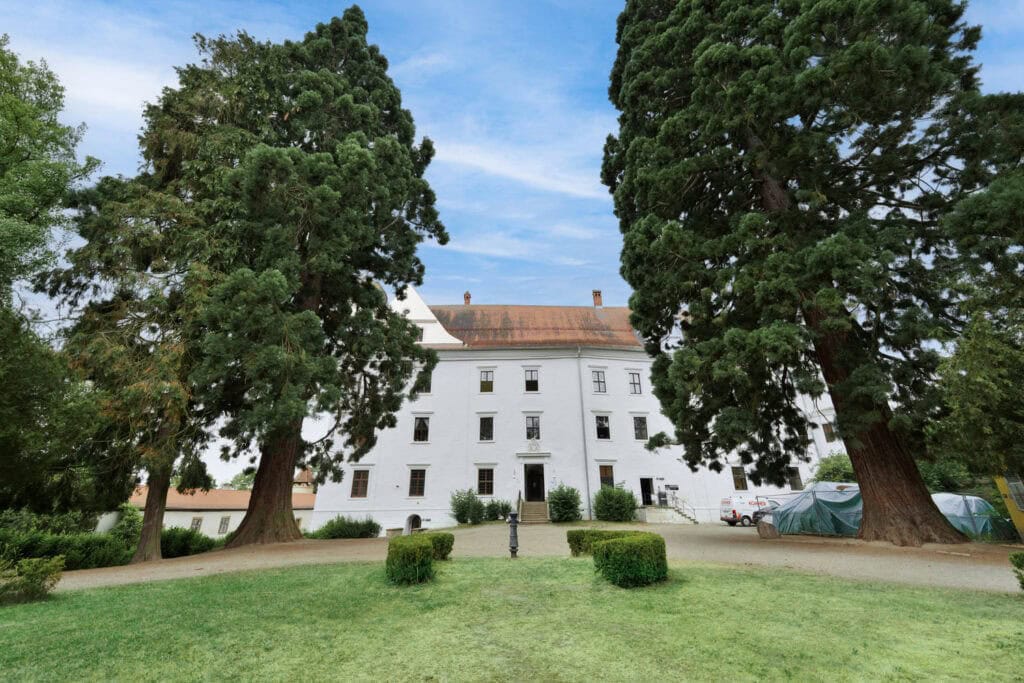 Schulen Schloss Schwarzenberg gras 1500 1024x683 1 - Schulen Schloss Schwarzenberg - Mathilde Zimmer Stiftung