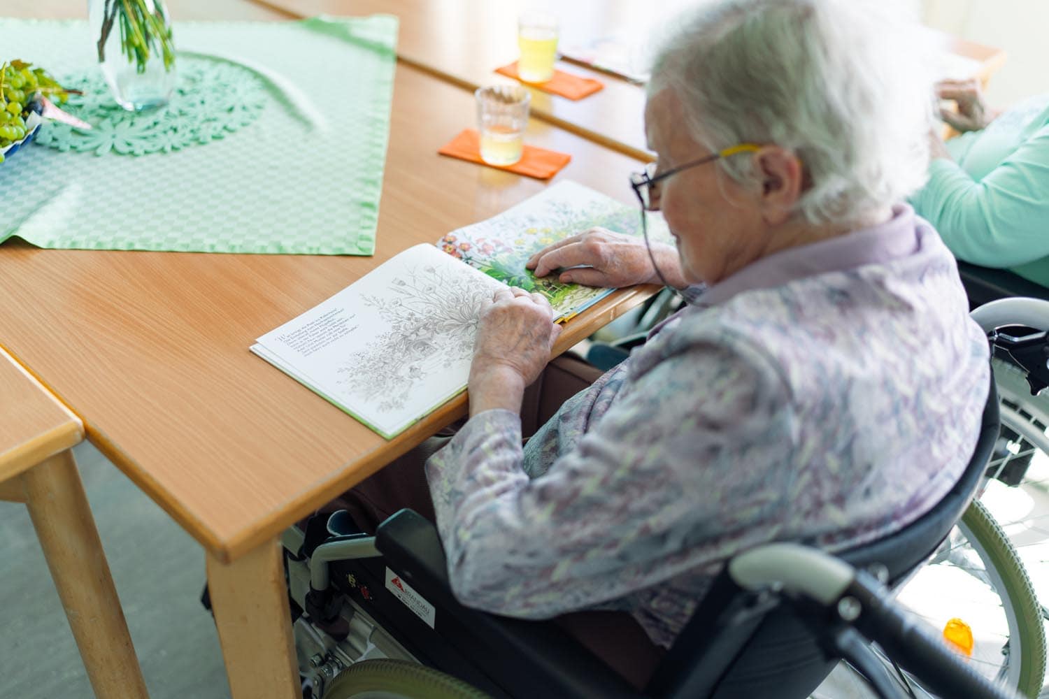 kassel luisenhaus mzst 37 - Luisenhaus - Mathilde Zimmer Stiftung